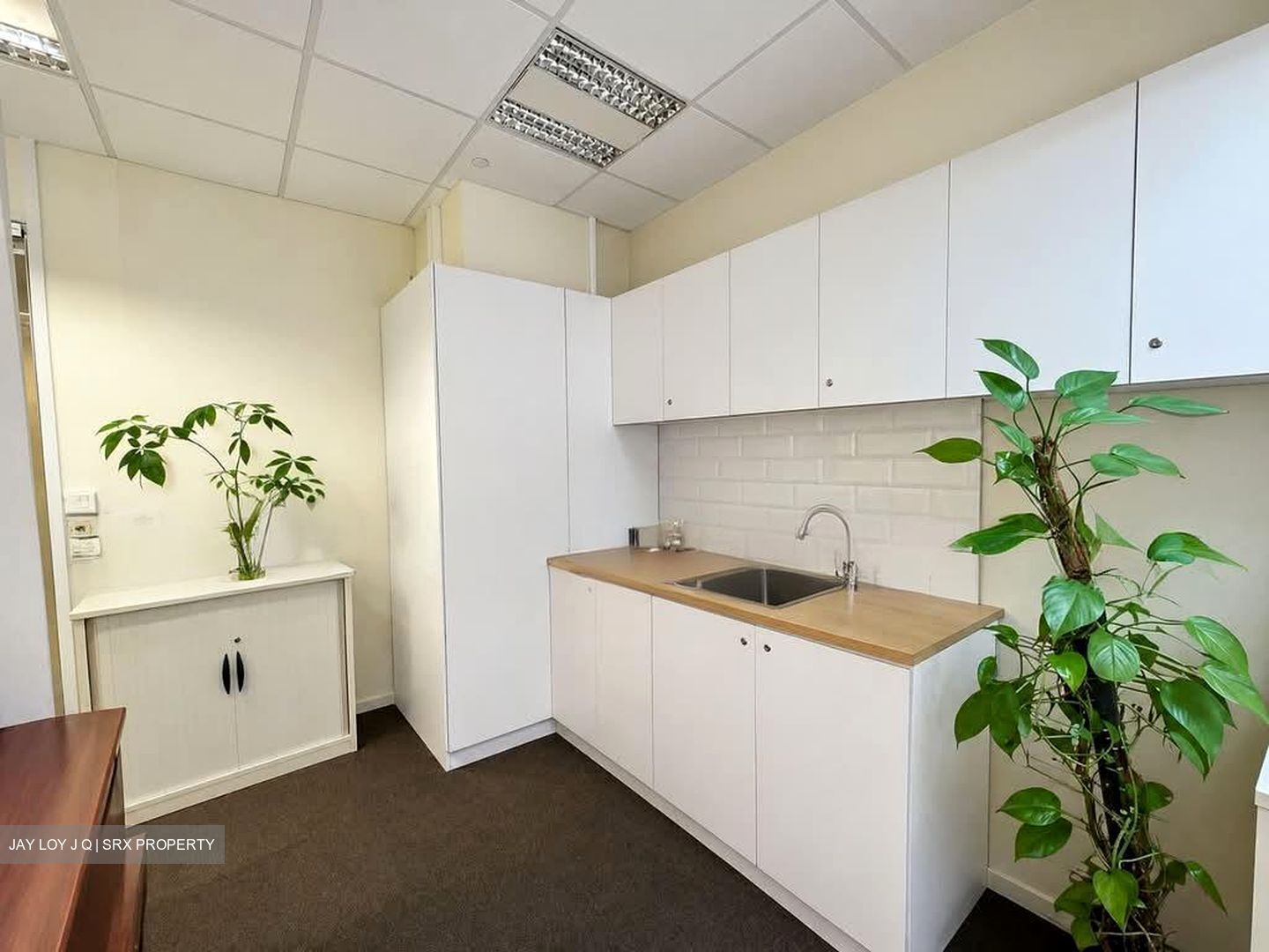 Paya Lebar Square (D14), Office #551299871